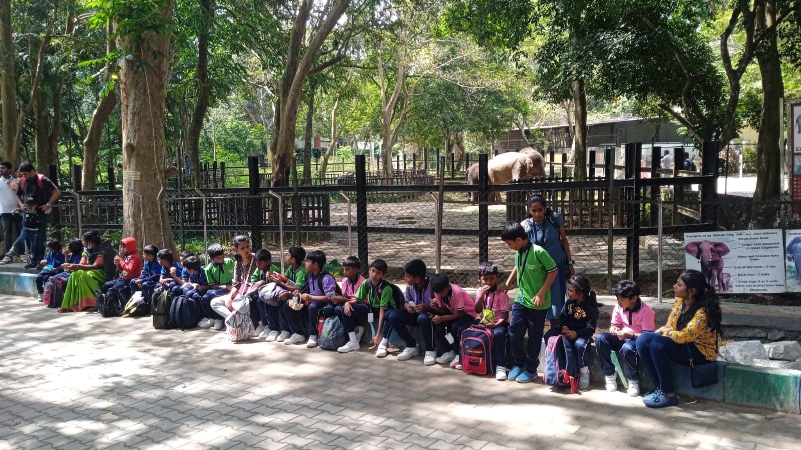 Montessori Juniors